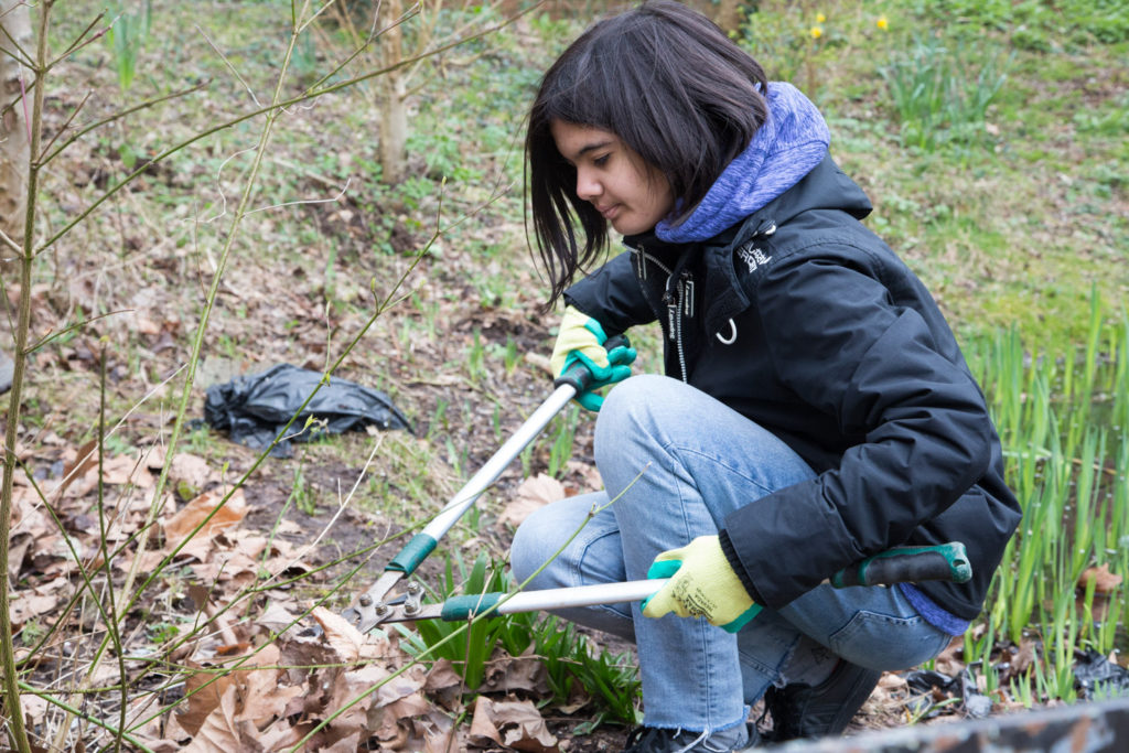 Future Proof Parks Bristol volunteering conservation young people